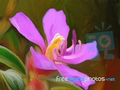 Wild Flower Painting Stock Image