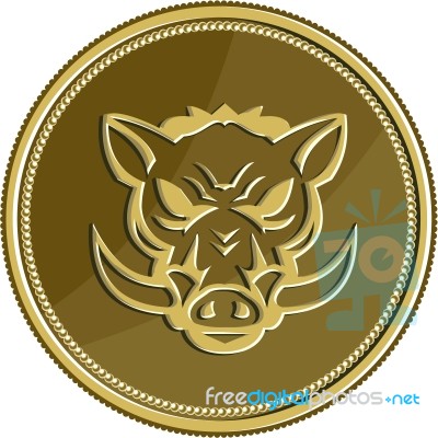 Wild Hog Head Angry Gold Coin Retro Stock Image