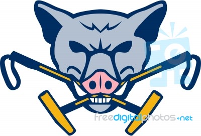 Wild Hog Head Crossed Polo Mallet Retro Stock Image