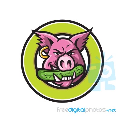 Wild Pig Biting Pickle Circle Mascot Stock Image