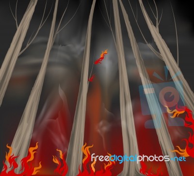 Wildfire Scene Stock Image