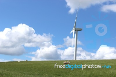 Wind Turbine Stock Photo