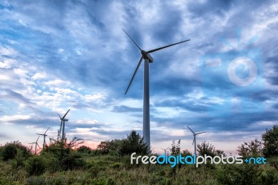 Wind Turbines In A Field Stock Photo