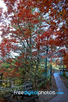 Winding Autumn Path Stock Photo