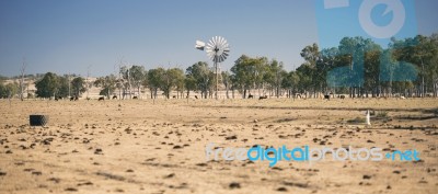 Windmill And Cows In The Countryside During The Day Stock Photo