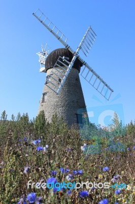 Windmill And Flowers Stock Photo