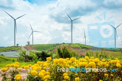 Windmills New Energy With Spring Flower On The Mountain Stock Photo