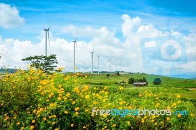 Windmills New Energy With Spring Flower On The Mountain Stock Photo