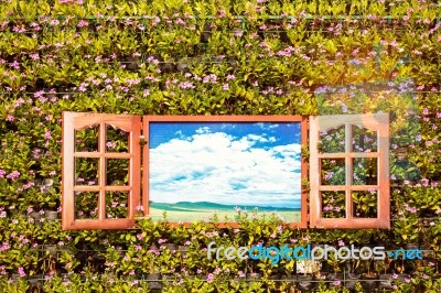 Windows On Wall Planted Flowers Stock Photo