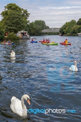 Windsor, Maidenhead & Windsor/uk - July 22 : People Kayaking Dow… Stock Photo