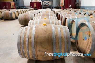 Wine Cellar Stock Photo