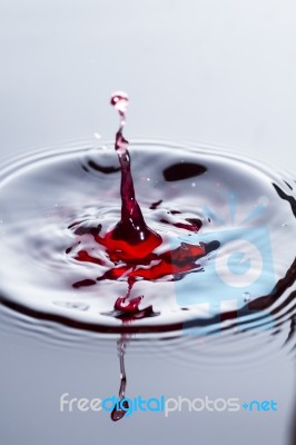 Wine Droplet Stock Photo