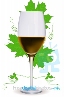 Wine Glass Stock Image