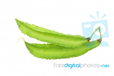 Winged Bean Stock Photo