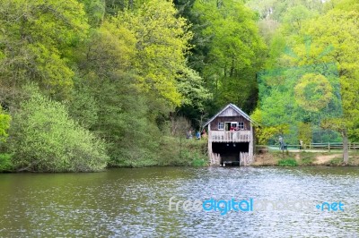 Winkworth Arboretum Stock Photo