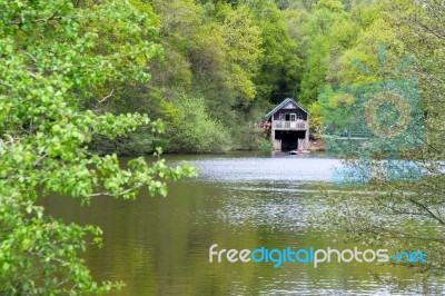 Winkworth Arboretum Stock Photo