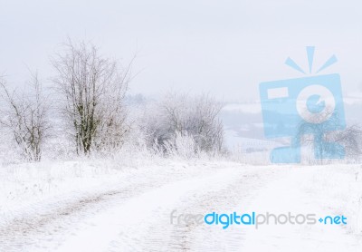 Winter Stock Photo