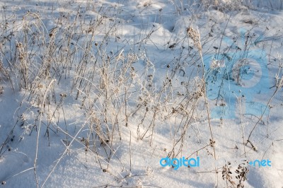 Winter Christmas Background Stock Photo