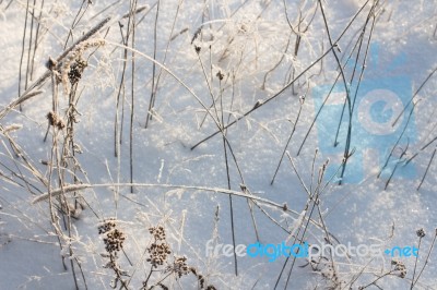 Winter Christmas Background Stock Photo