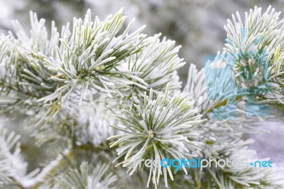 Winter Christmas Background Stock Photo