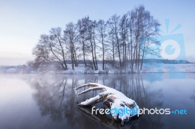 Winter Dawn Stock Photo