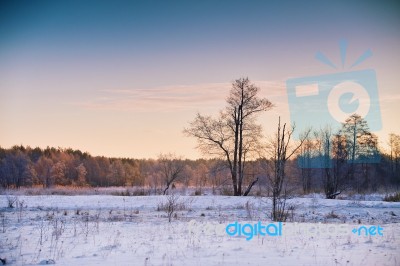 Winter Dawn. Sunrise In Winter Morning. Snow Landscape Stock Photo