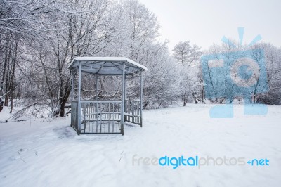 Winter Day In The Central Park Stock Photo