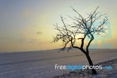 Winter Evening Stock Photo