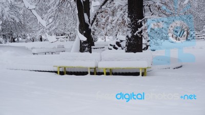 Winter In The Park. Sofia, Bulgaria Stock Photo