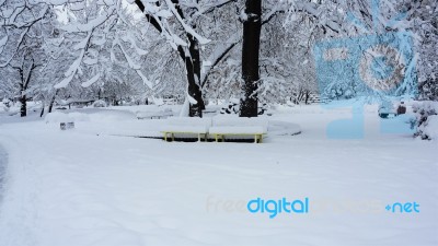 Winter In The Park. Sofia, Bulgaria Stock Photo