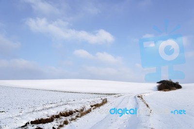 Winter Landscape Stock Photo