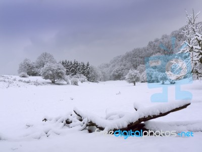 Winter Landscape Stock Photo