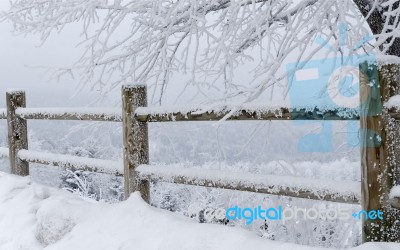 Winter Landscape Stock Photo