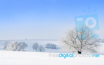 Winter Landscape Stock Photo