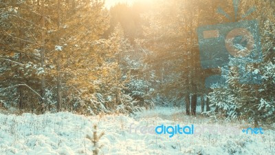 Winter Landscape Stock Photo