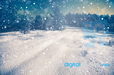 Winter Landscape Stock Photo