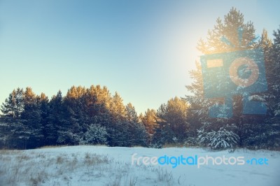 Winter Landscape Stock Photo