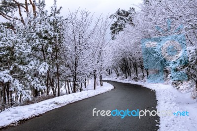 Winter Landscape Stock Photo