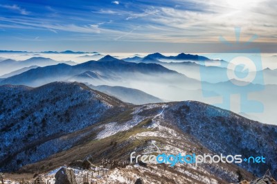 Winter Landscape And Foggy In Deogyusan Mountains, South Korea Stock Photo