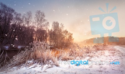 Winter Misty Dawn On The River. Snowflakes, Snowfall. Sunny Wint… Stock Photo