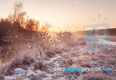 Winter Misty Dawn On The River. Snowflakes, Snowfall. Sunny Wint… Stock Photo