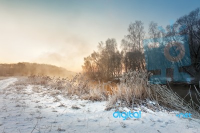 Winter Misty Morning On The River. Rural Foggy And Frosty Scene Stock Photo