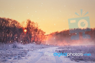 Winter Misty Sunrise. Rural Foggy And Frosty Scene Stock Photo