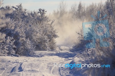 Winter Morning In Belarus Stock Photo