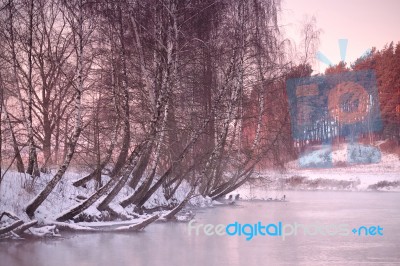 Winter Morning On A River Stock Photo