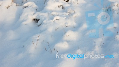 Winter Scene Stock Photo