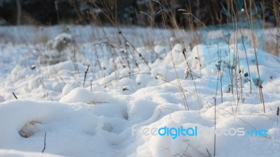 Winter Scene Stock Photo