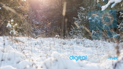 Winter Scene Stock Photo