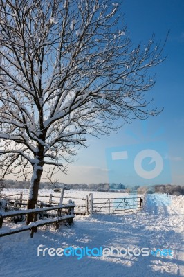 Winter Scene In East Grinstead Stock Photo