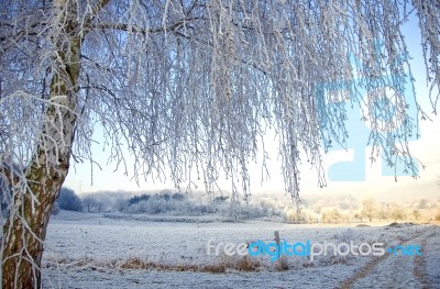 Wintertime Stock Photo